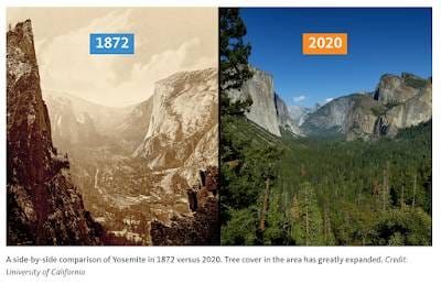 California's Wildfire History