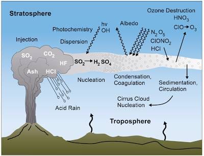 Net Zero